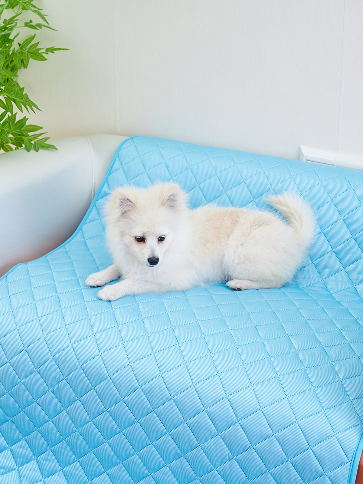 Dog Pillow Pet Summer Cooling Mat and Sleeping Pad Waterproof Pet Cooling Mat for Cat Dog Keep Cooling Supplies Self Cooling Mat